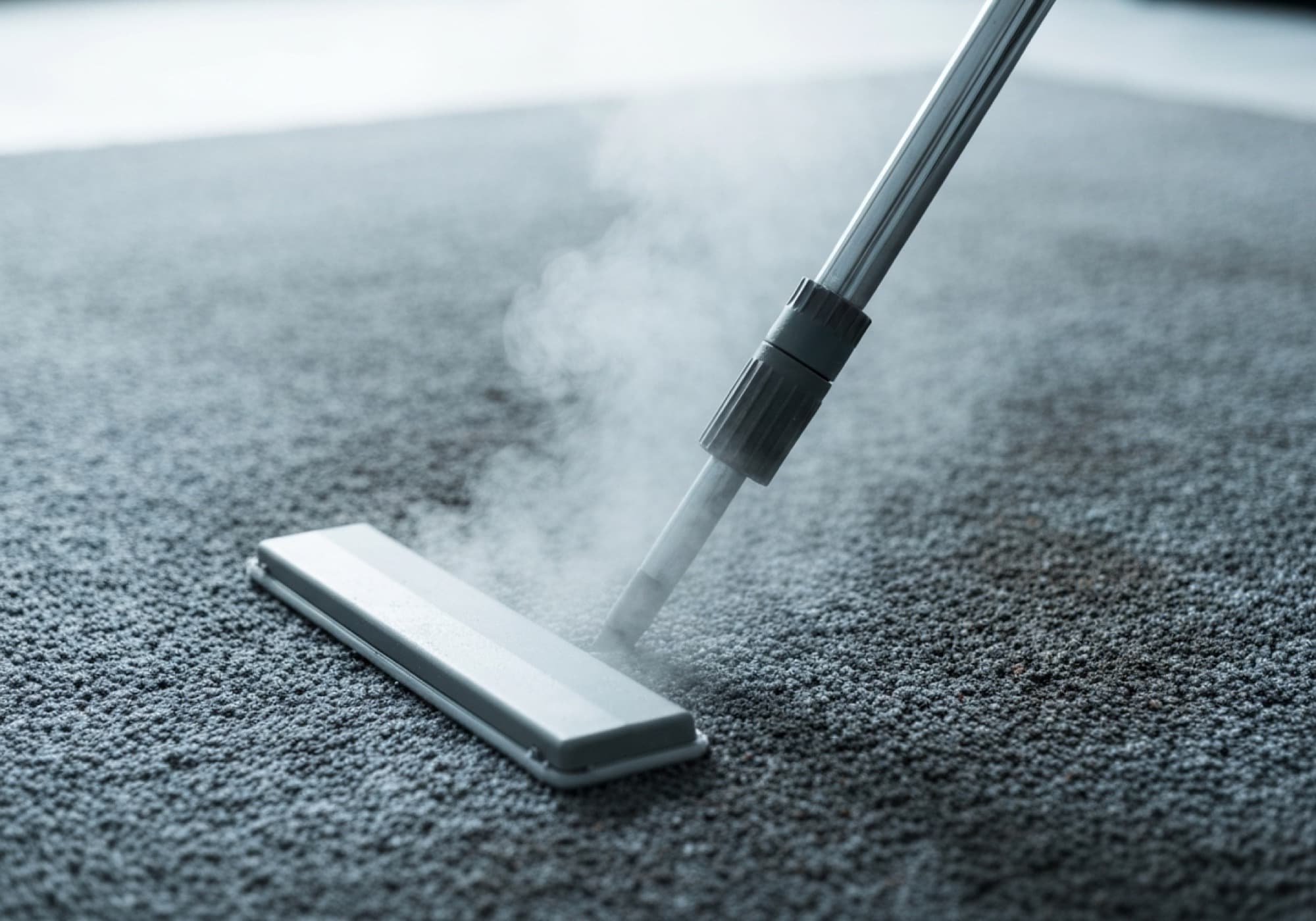 Deep Hot Water Extraction (Carpet Cleaning)