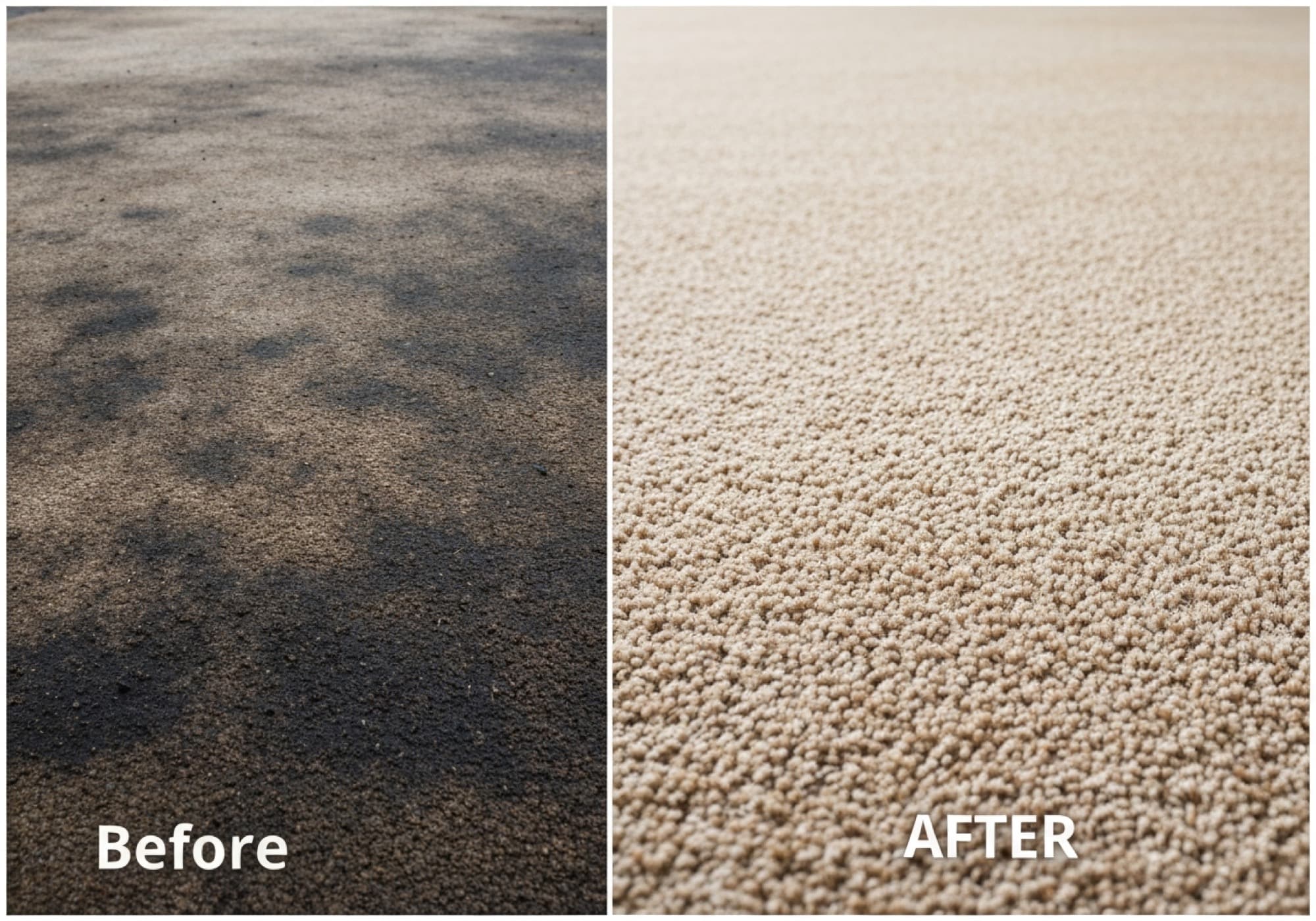 Happy's Carpet Cleaning & Restoration at work
